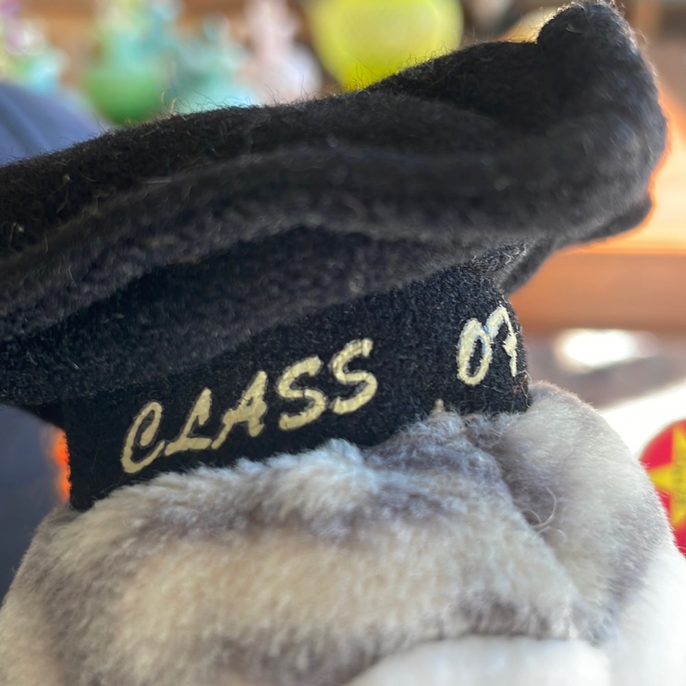 Ty beanie baby Wiser the owl class of 99 - Picture 2 of 9
